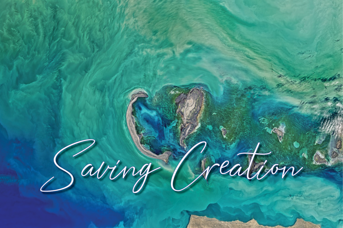 Saving Creation Earth